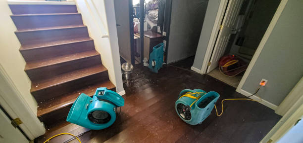 Best Water damage contractors near me  in Princess Anne, MD