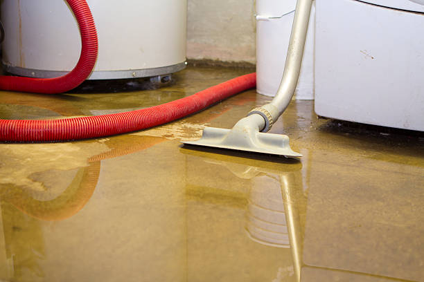 Best Local water damage restoration  in Princess Anne, MD
