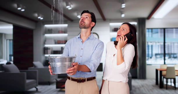 Best Basement water damage restoration  in Princess Anne, MD