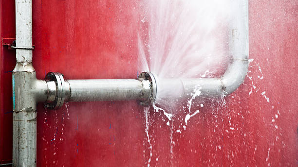 Best Basement water damage restoration  in Princess Anne, MD
